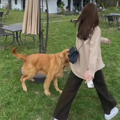 梦游罗宫